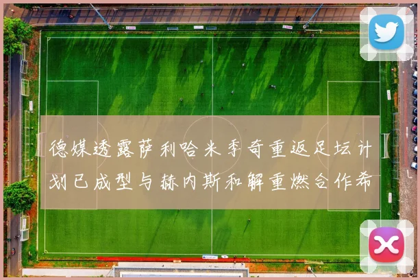 德媒透露萨利哈米季奇重返足坛计划已成型与赫内斯和解重燃合作希望